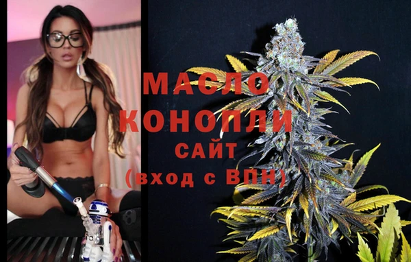 мет Инсар