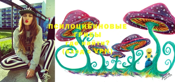 мет Инсар