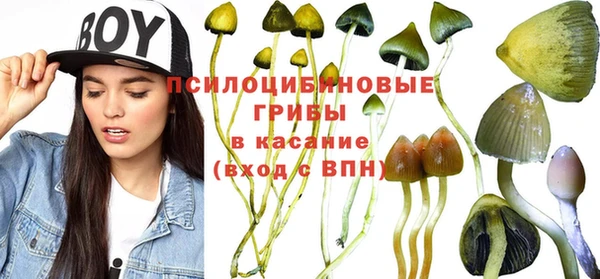 мет Инсар