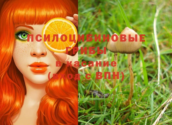 мескалин Иннополис