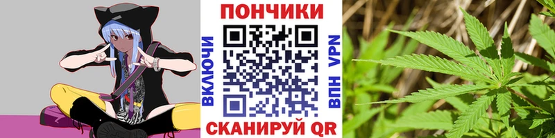 Купить закладки  Дмитровск  Шишки марихуана план 